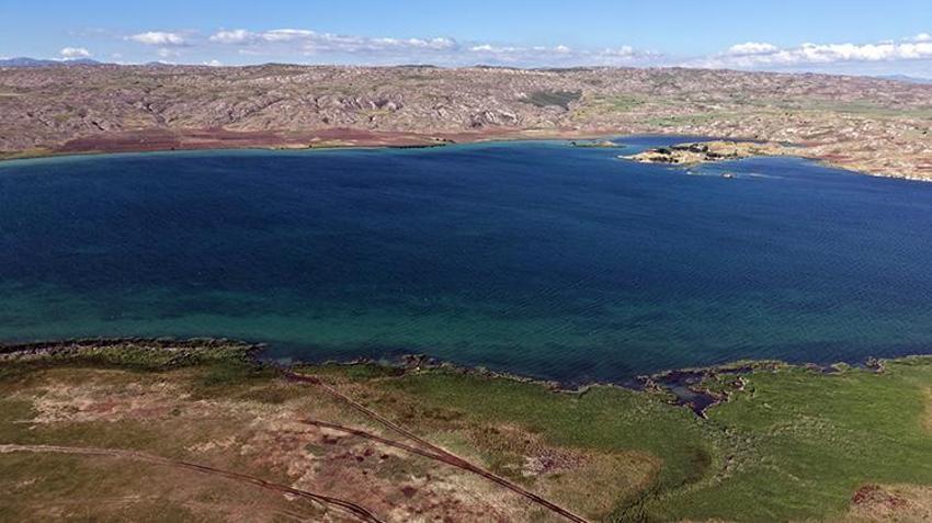 Sivas'ta görsel şölen! Korumalı Tödürge Gölü tam kapasiteye ulaştı, yüzlerce leylek akın etti