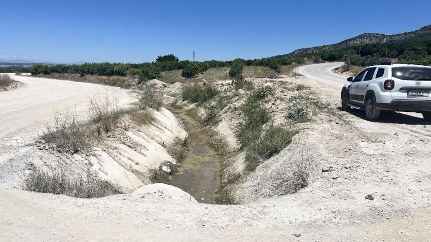 Adana'da 7 aydır devam ediyor: Tarlaları yılanlar bastırınca isyan başladı