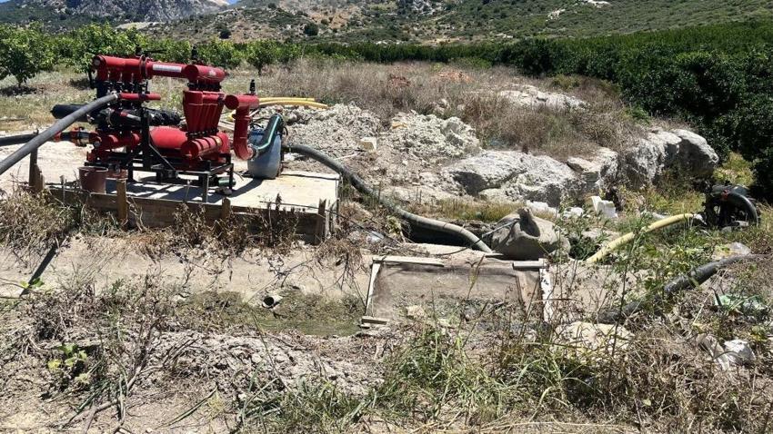 Adana'da 7 aydır devam ediyor: Tarlaları yılanlar bastırınca isyan başladı