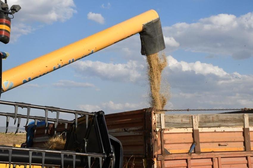 Yozgat'ın beklediği oldu: Sezonun ilk hasadında kilo dekar başına verim arttı