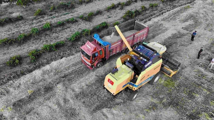 Yozgat'ın beklediği oldu: Sezonun ilk hasadında kilo dekar başına verim arttı