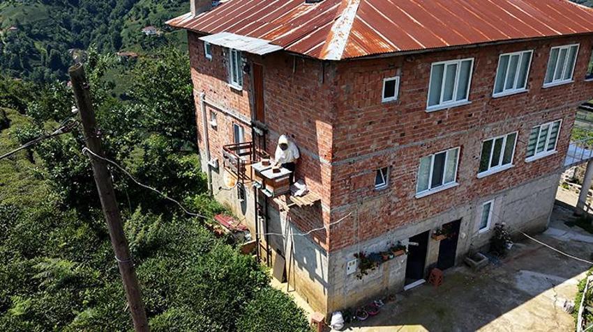 Karadenizli'nin zekası ayıya da yetti! Kurduğu sistemi görenler gözlerine inanamıyor: Asansörle çıkıyor