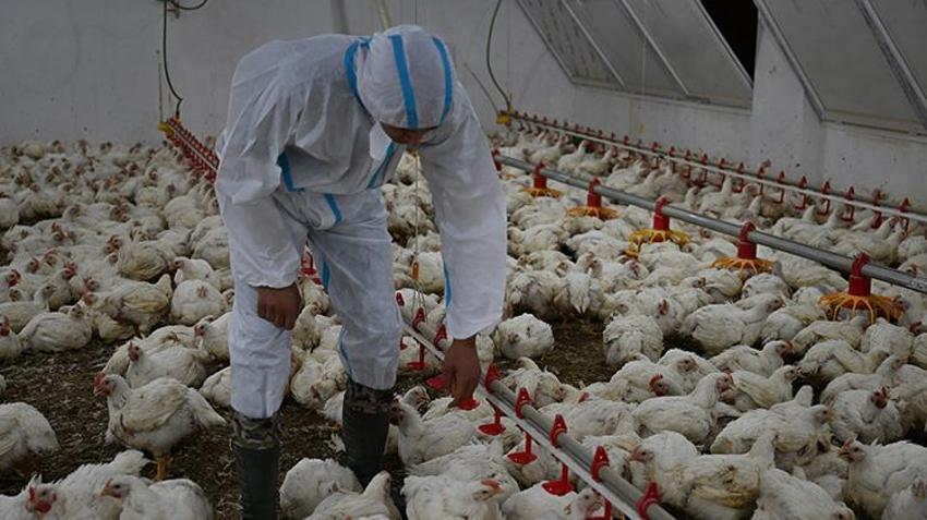 Bakanlık destek verdi genç girişimciler üretime başladı: 'Kapasitemizi artırarak devam edeceğiz'