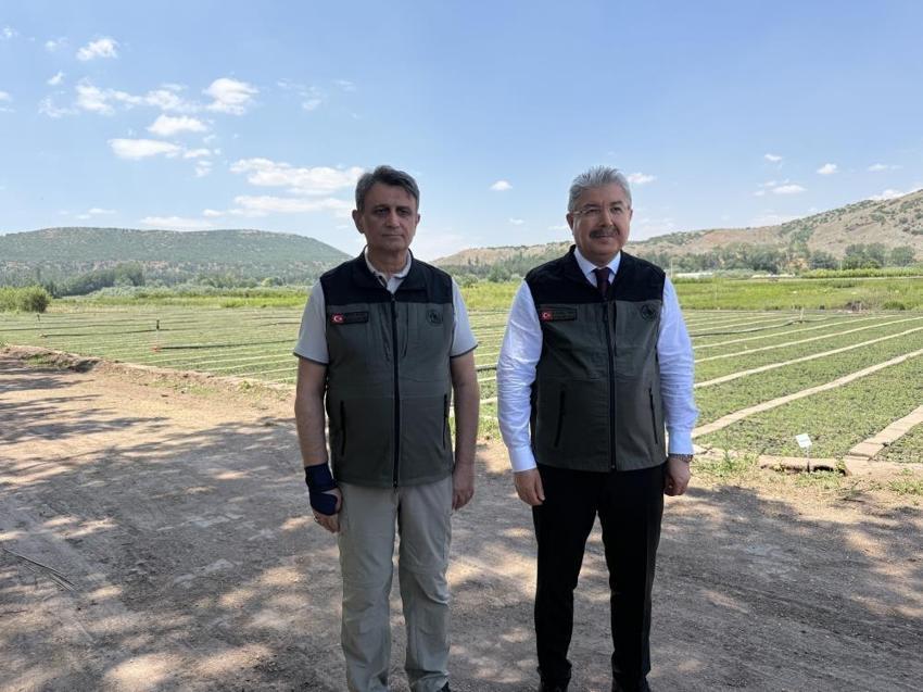 Eskişehir'de üretilip yangın bölgelerine nefes oluyor: Yılda 6 milyon adet üretiliyor
