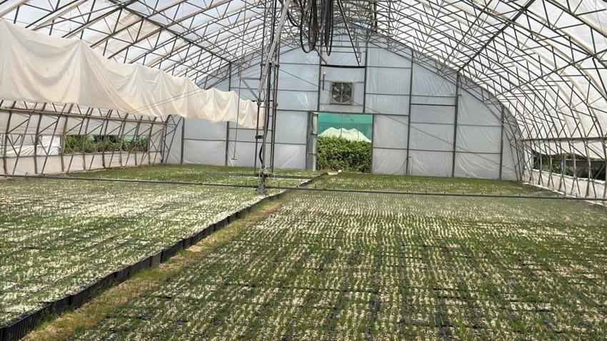 Eskişehir'de üretilip yangın bölgelerine nefes oluyor: Yılda 6 milyon adet üretiliyor