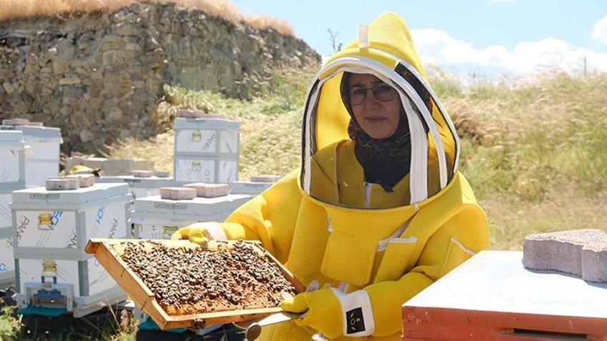 Kursla başladı, formülü değiştirdi 1 yılda kovan sayısını 3'e katladı: Erkek işi diyenlere inat tek başına yapıyor