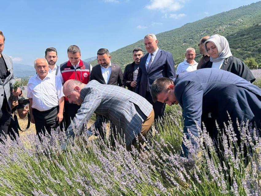 Osmaniye'de hasadın geliri SMA hastası Uygar'a bağışlanacak!