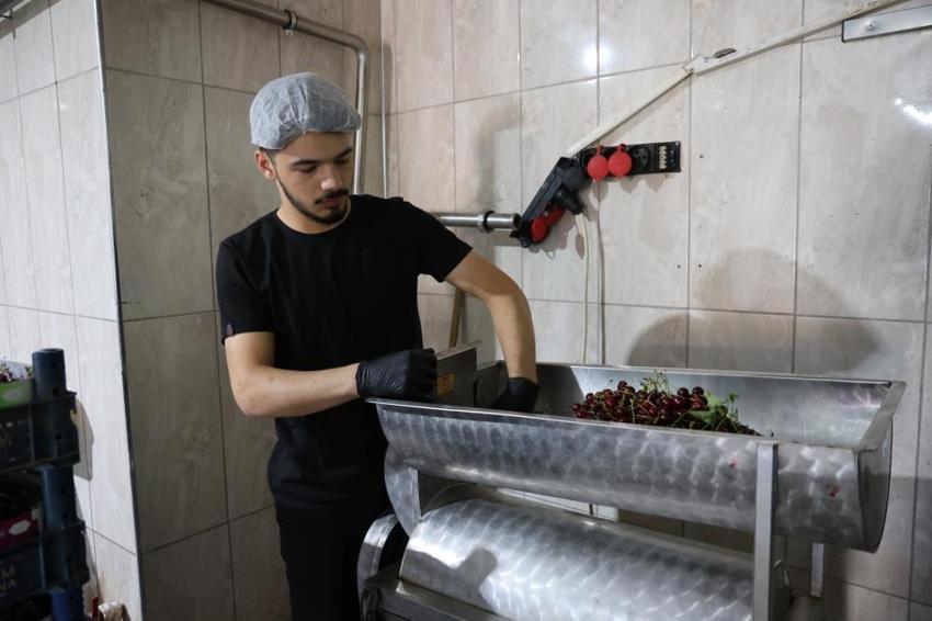 Elazığ'da sezonu açıldı, kilosu 700 liradan kapış kapış gidiyor: İl dışından da talep yağıyor