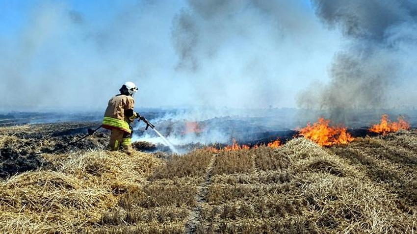 Trakya’da hasat mesaisi alevlerin kıskacında! Milli servet saniyeler içinde küle döndü