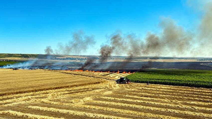 Trakya’da hasat mesaisi alevlerin kıskacında! Milli servet saniyeler içinde küle döndü