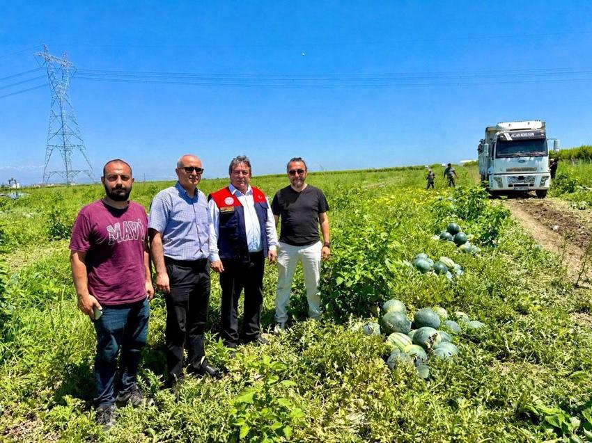 'Tropical Sunshine' çeşidi sarı etli karpuzlar üreticinin yüzünü güldürüyor