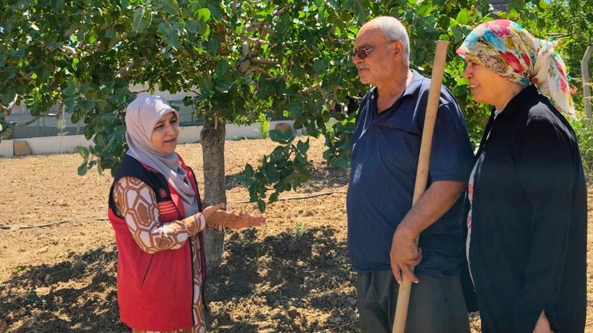 Şanlıurfa'da kabus patladı! Bahçesinde fark etti, Capnodis dadanıp bitirdi