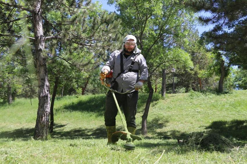 Sivas'ta yeniden hortladı! Onlarca kişi öldü, tehlikeyi açıkladı: 1 tanesinden 10 bin tane çıkıyor
