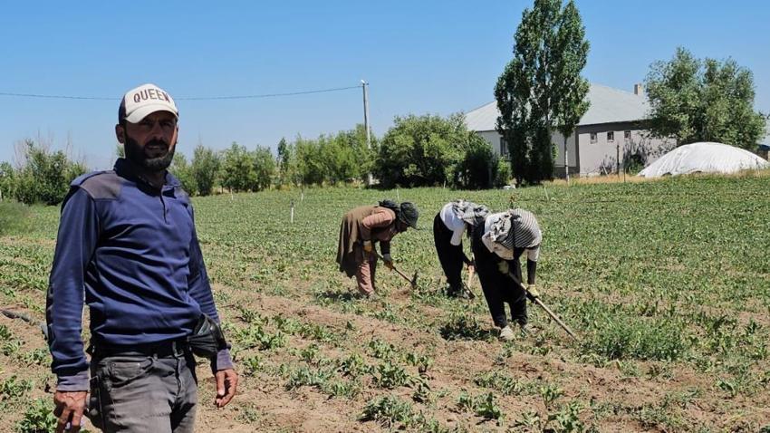40 derede sıcakta zorlu mesai başladı! Kavurucu sıcakta üretimi sürdürüyorlar