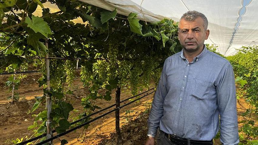 Üzüm bağlarında beyaz ağ dönemi! Manisa'da 110 bin dönümlük Sarıgöl Ovası’nda örtüleme mesaisi başladı!