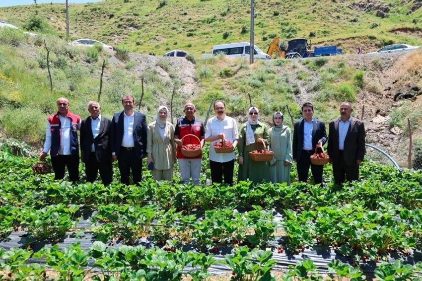 Siirt'te kadınların üretim başarısı! Hasat yüzleri güldürdü