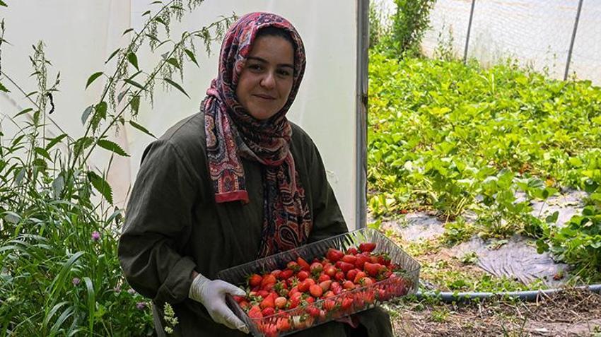 Van'ın bu köyüne devlet desteğiyle bereket yağdı! Kadın girişimci tek başına yılda 2 ton üretiyor