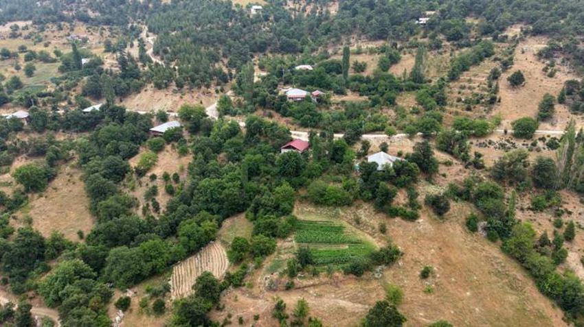 Doğadan topluyor, 40 gün bekletiyorlar! İşte köylülerin vazgeçemediği o doğal yöntem