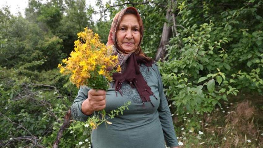 Doğadan topluyor, 40 gün bekletiyorlar! İşte köylülerin vazgeçemediği o doğal yöntem