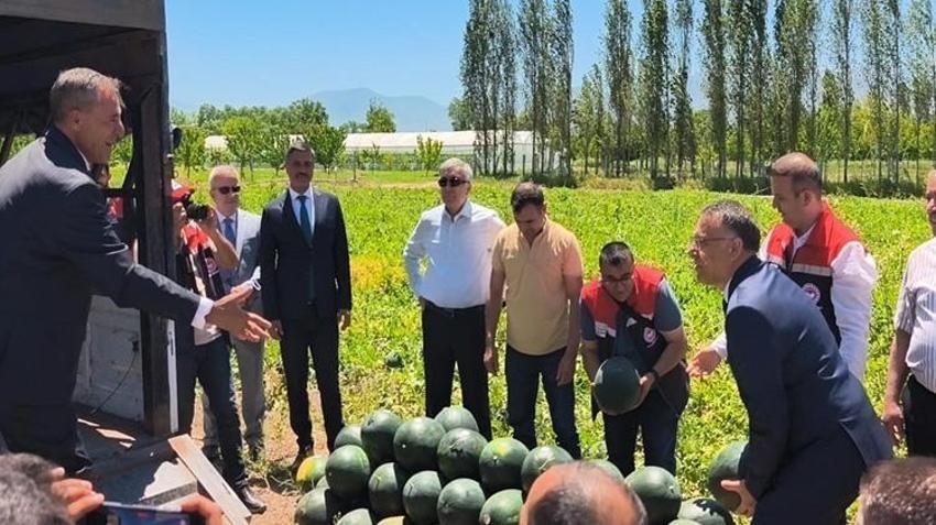 Doğu'nun Çukurova'sında hasat başladı! Ürün daha tezgaha inmeden kapışıldı: 30 bin tonluk rekolte bekleniyor