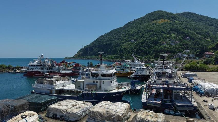 Balıkçıların yeni sezonda tek umudu var: Palamut