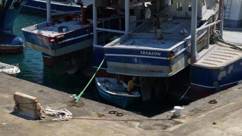 Balıkçıların yeni sezonda tek umudu var: Palamut