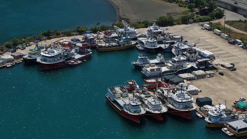 Balıkçıların yeni sezonda tek umudu var: Palamut
