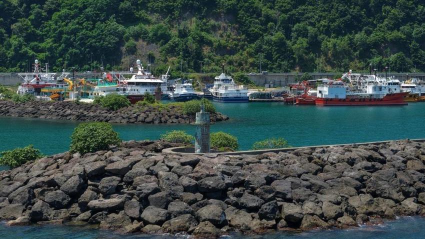 Balıkçıların yeni sezonda tek umudu var: Palamut