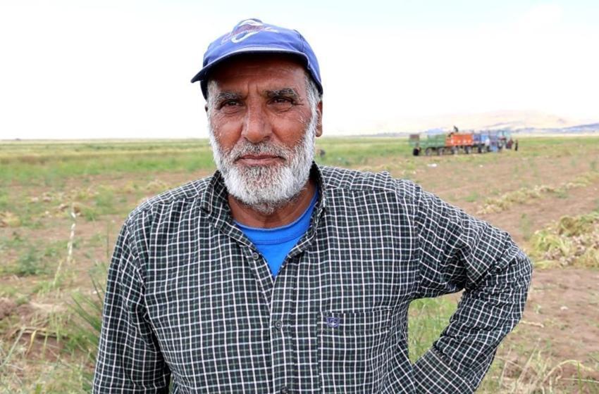 Başlık parası Şanlıurfalı aşıkları ayırıyor! Oğulları için para biriktirmek isteyen aile Aksaray'ın tarlalarında çalışıyor: 'Başlık parası kalksın'