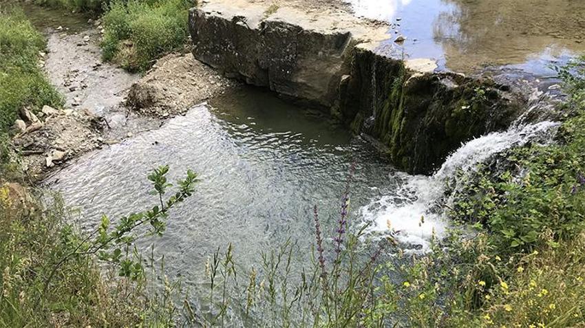 Gizli cennet destek bekliyor! Samsun'da Doğa harikası şelale için yatırım talebi...