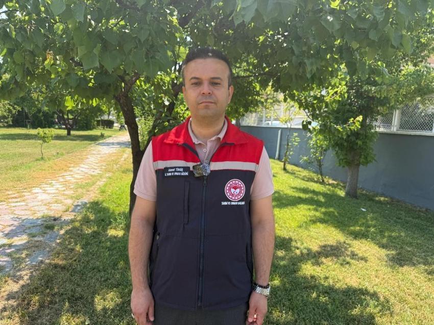 Iğdır'da kayısıda yüzde 70'i aşan şok kayıp: 40 bin tondan 8 bin tona düştü!