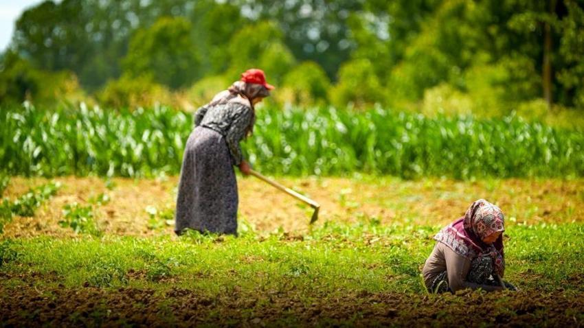 Kocaeli'de çiftçiye 1,5 milyar liralık dev destek: Milyonlarca litre mazot tamamen bedava verildi!