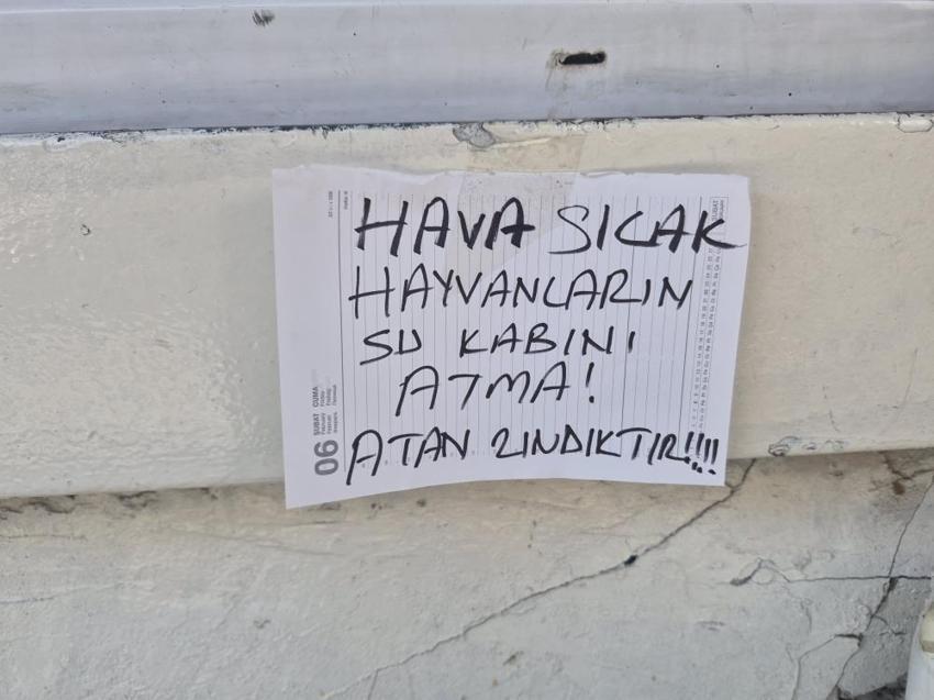 Eskişehir'de ilginç not: Sokak hayvanları için asıldı