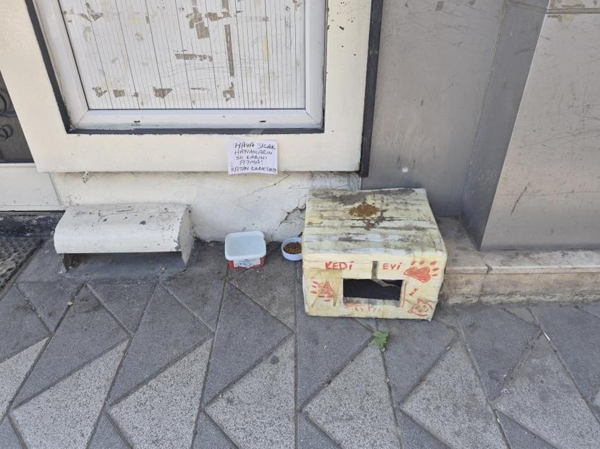 Eskişehir'de ilginç not: Sokak hayvanları için asıldı
