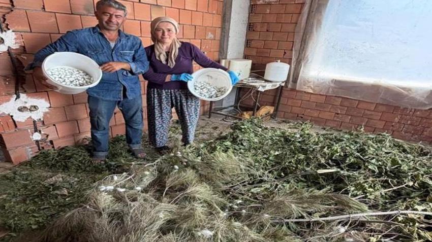İlk kez denedi, sonucu şaşırttı! Bu üretim yüzlerce kişiye gelir sağlayacak