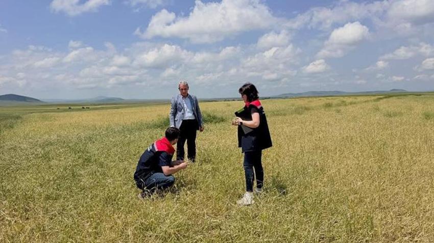 Kars’ta şiddetli dolu ve fırtına kabusu! 3 köyde tarım arazileri vuruldu: Ekipler sahaya indi