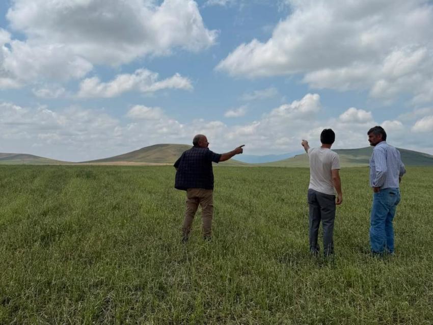 Kars’ta şiddetli dolu ve fırtına kabusu! 3 köyde tarım arazileri vuruldu: Ekipler sahaya indi