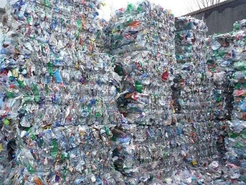 Plastiği doğal yoldan 1 ayda yok ediyor: Kocaeli'de dev keşif!