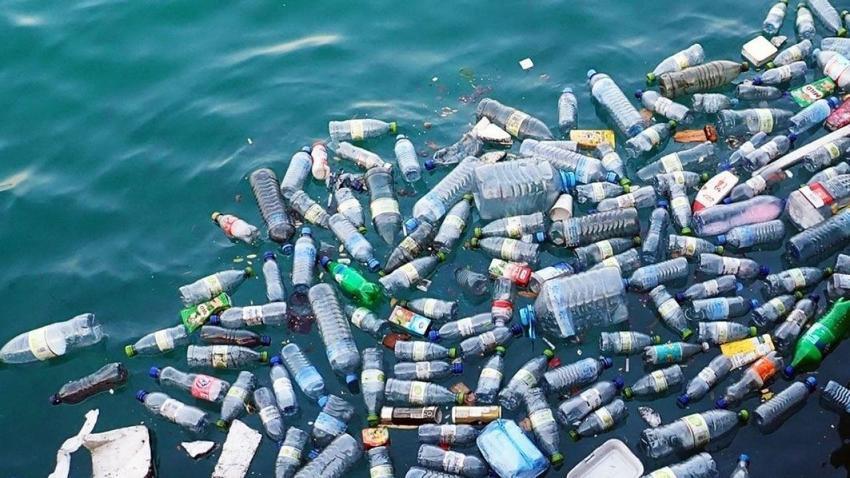 Plastiği doğal yoldan 1 ayda yok ediyor: Kocaeli'de dev keşif!