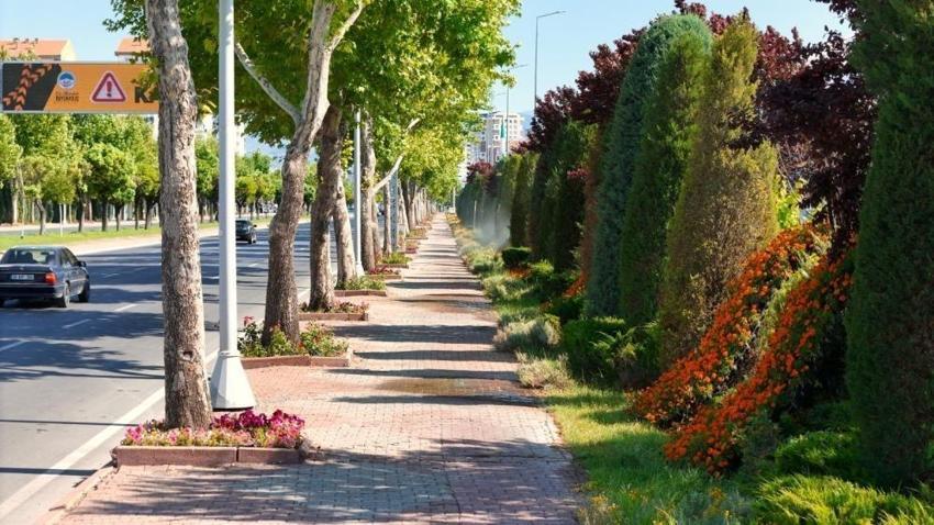 Kayseri'de her noktaya ekildi: Büyükşehir'in projesi her yıl büyüyor