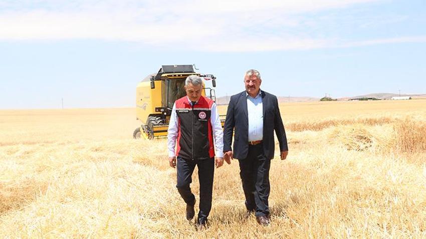 Yozgat’ta yılın ilk hasadı başladı! Rekor verim bekleniyor