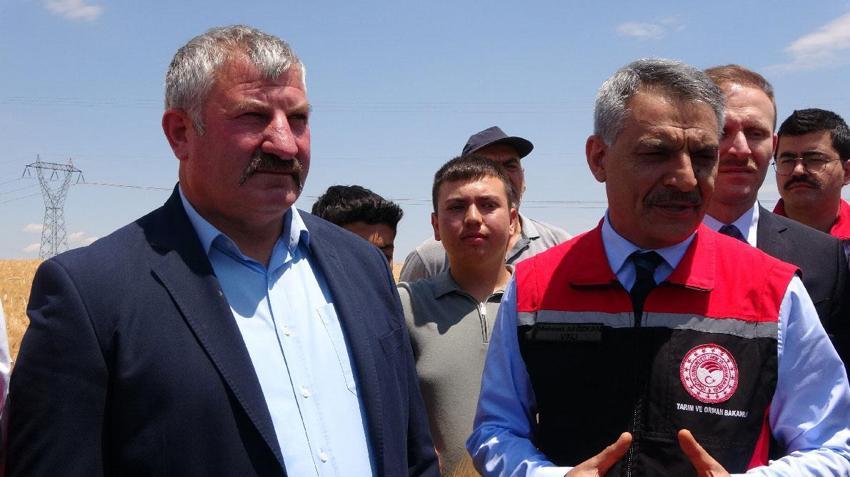 Yozgat’ta arpa hasadı başladı: 1 milyon 388 bin 575 ton üretim bekleniyor