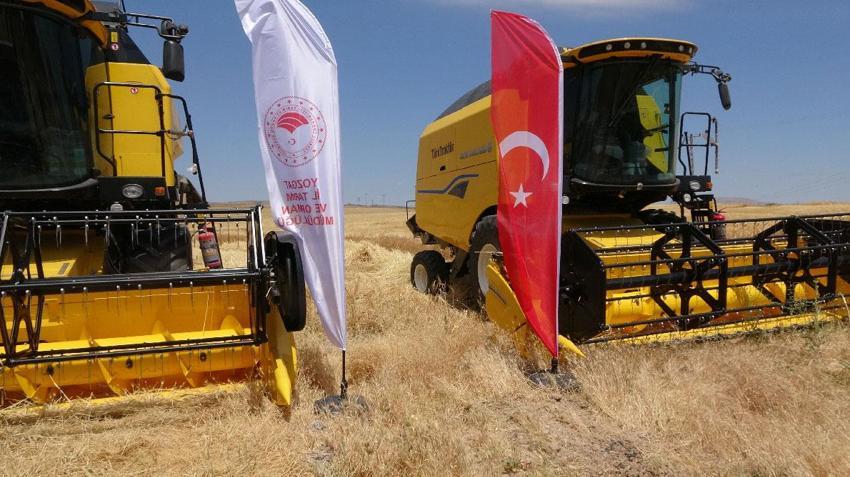 Yozgat’ta arpa hasadı başladı: 1 milyon 388 bin 575 ton üretim bekleniyor