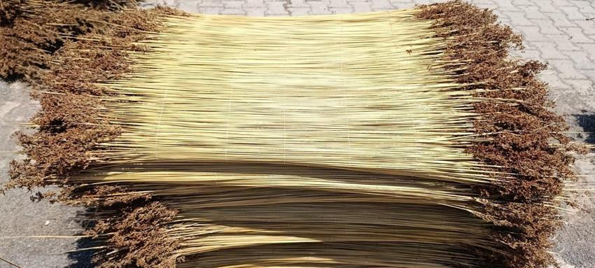 AB tescilli lezzetin gizli kahramanı! 3 ayda satışa hazır hale geliyor