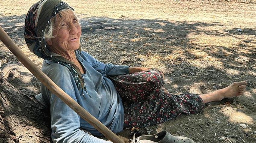 Muğla'nın meralarında 90 yaşında bir çınar! Elinde değneğiyle her gün hayvanlarını otlatıyor
