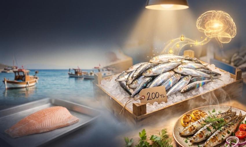 Kilosu 200 TL ama faydası Somon balığından fazla! Haftada 2 kez yiyenin hafızası çelik gibi oluyor