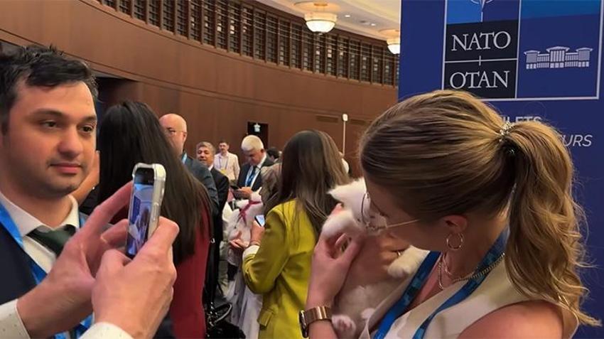 NATO Zirvesi'nin gözdesi oldu: Basın mensuplarından 'Lokum'a yoğun ilgi