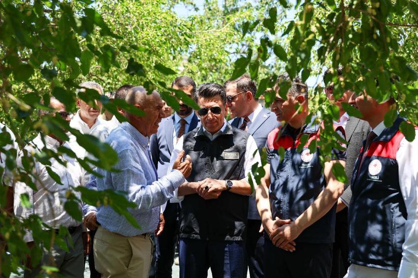 Tunceli'nin coğrafi işaretli Ulukale dutunda bu yıl 650 ton rekolte beklentisi
