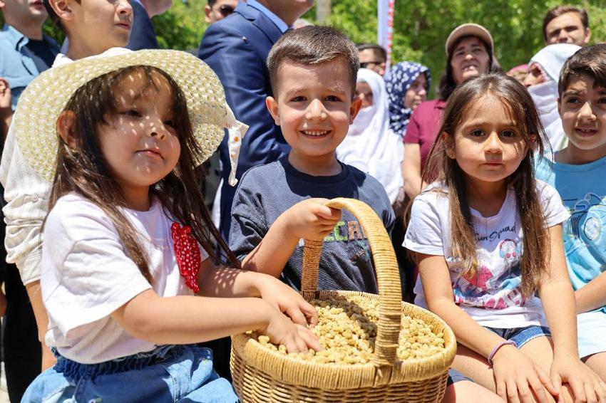 Tunceli'nin coğrafi işaretli Ulukale dutunda bu yıl 650 ton rekolte beklentisi