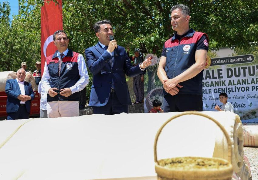Tunceli'nin coğrafi işaretli Ulukale dutunda bu yıl 650 ton rekolte beklentisi
